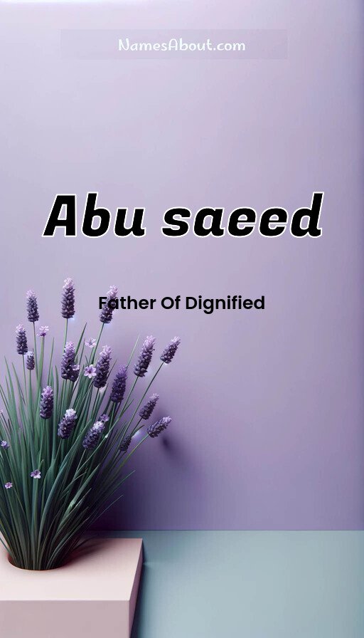 Meaning of Abu saeed