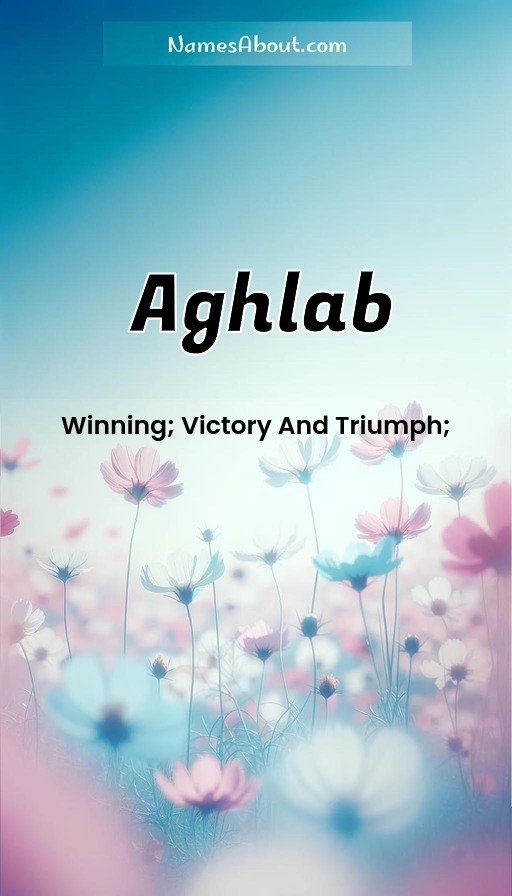 Meaning of Aghlab