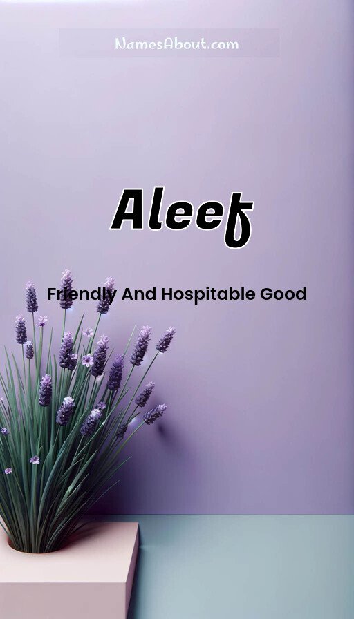 Meaning of Aleef