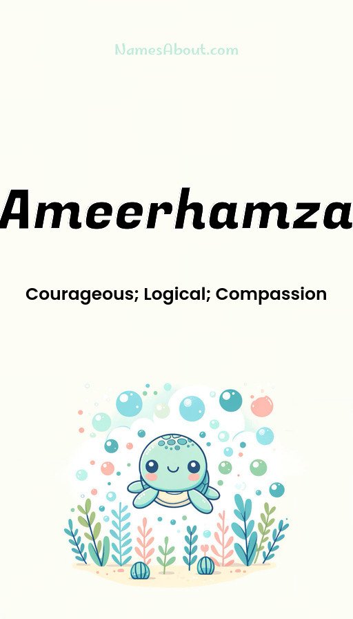 Meaning of Ameerhamza