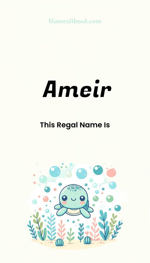 Meaning of Ameir