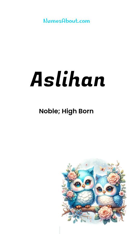 Aslihan name and meaning