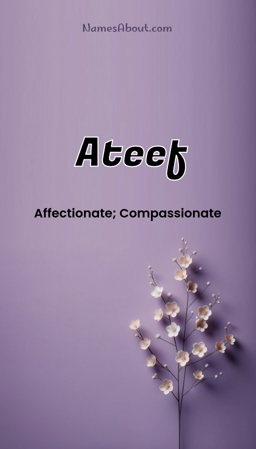 Meaning of Ateef