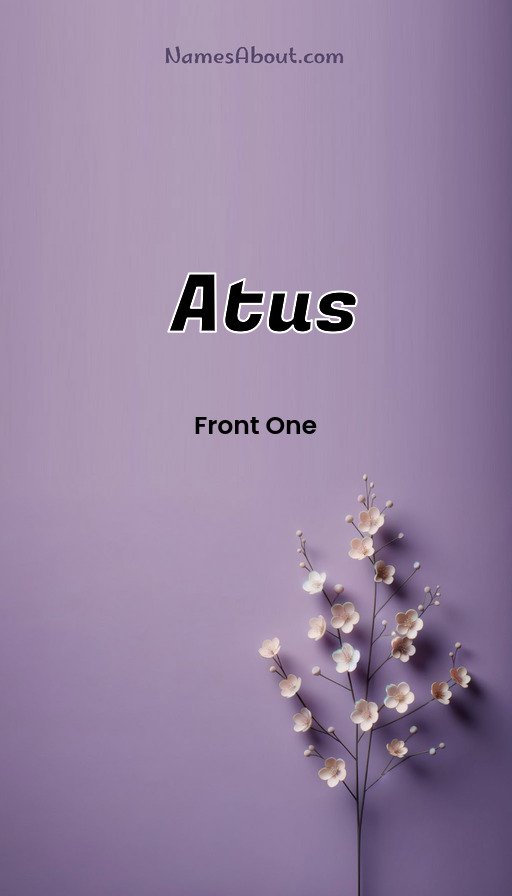 Meaning of Atus