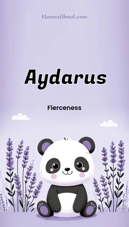 Meaning of Aydarus