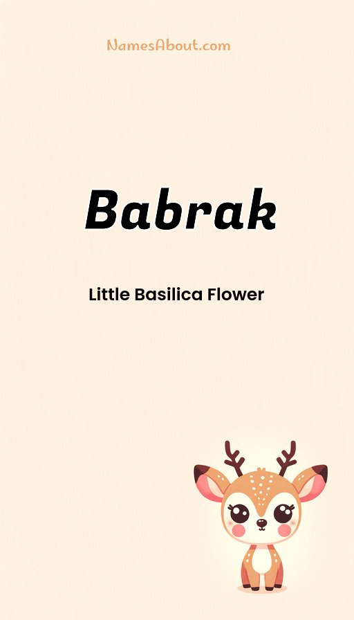 Meaning of Babrak