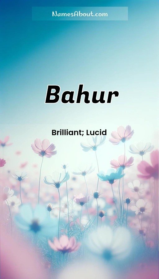 Meaning of Bahur