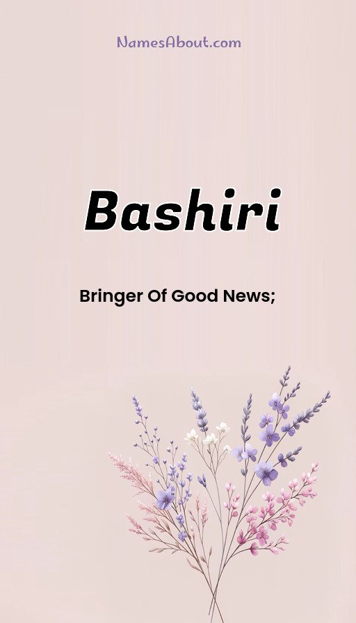 Meaning of Bashiri