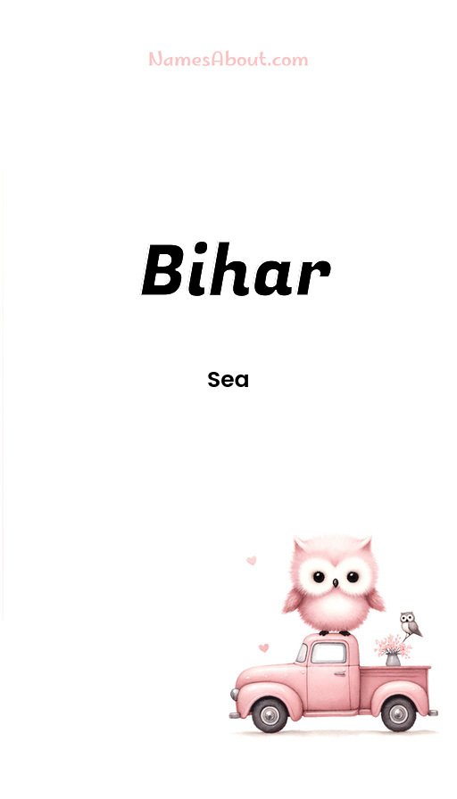 Meaning of Bihar
