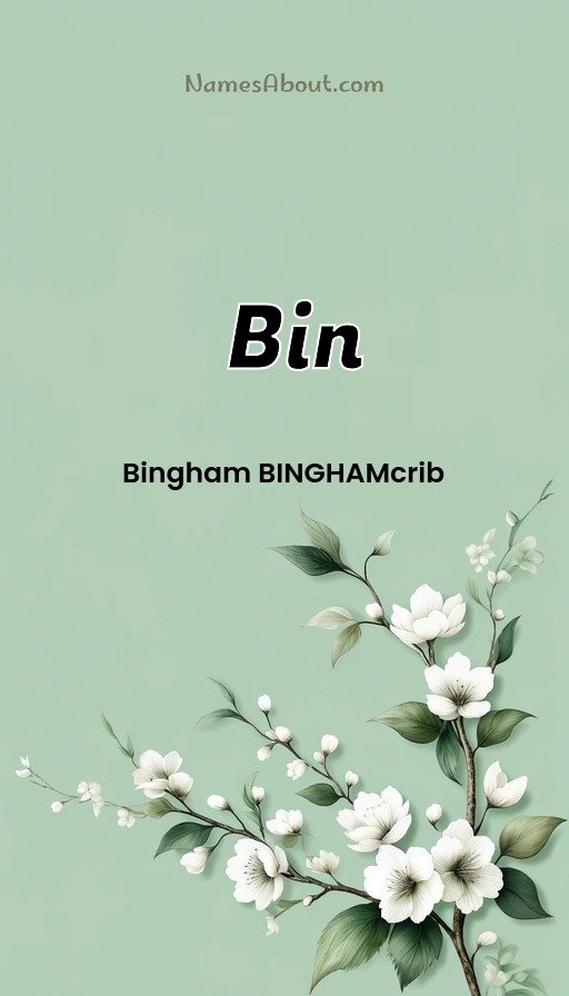 Meaning of Bin