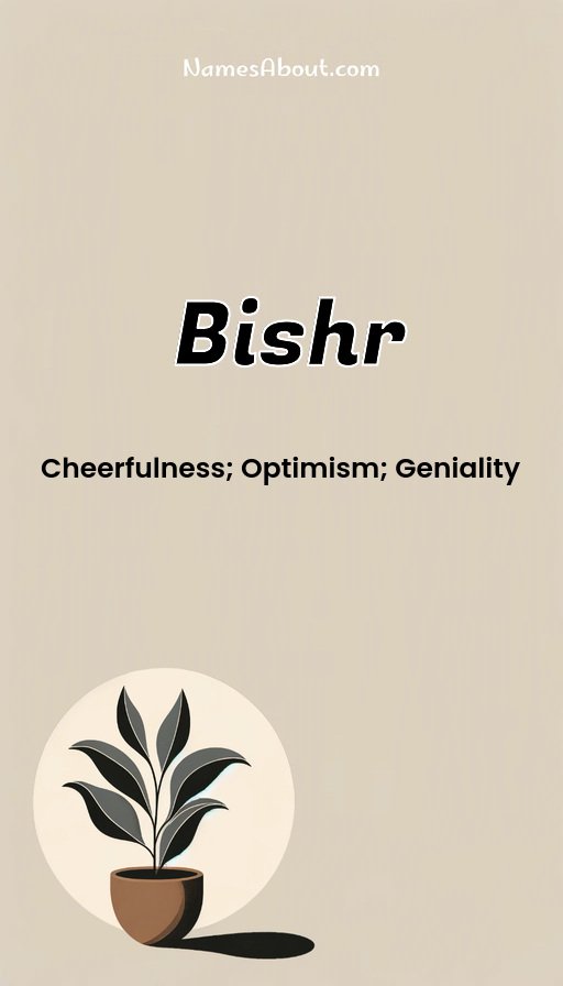 Meaning of Bishr