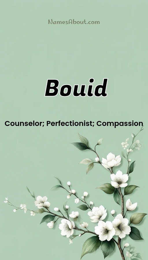 Meaning of Bouid