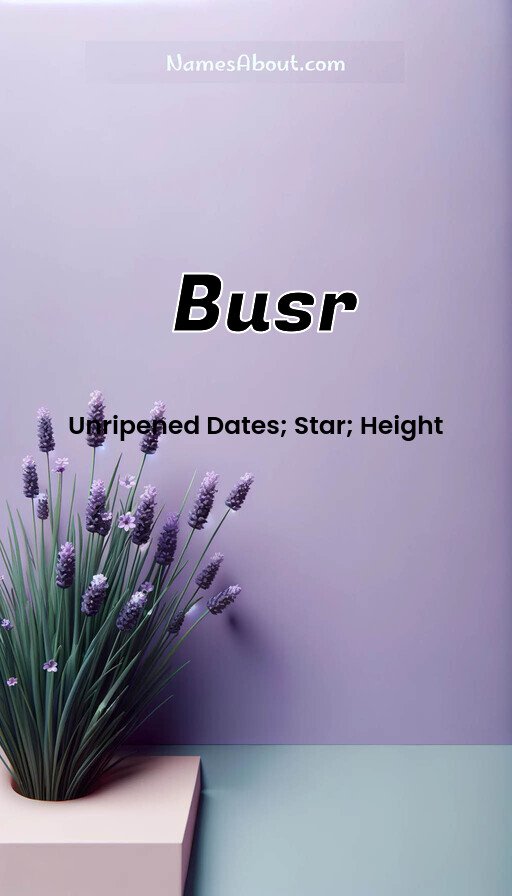 Meaning of Busr