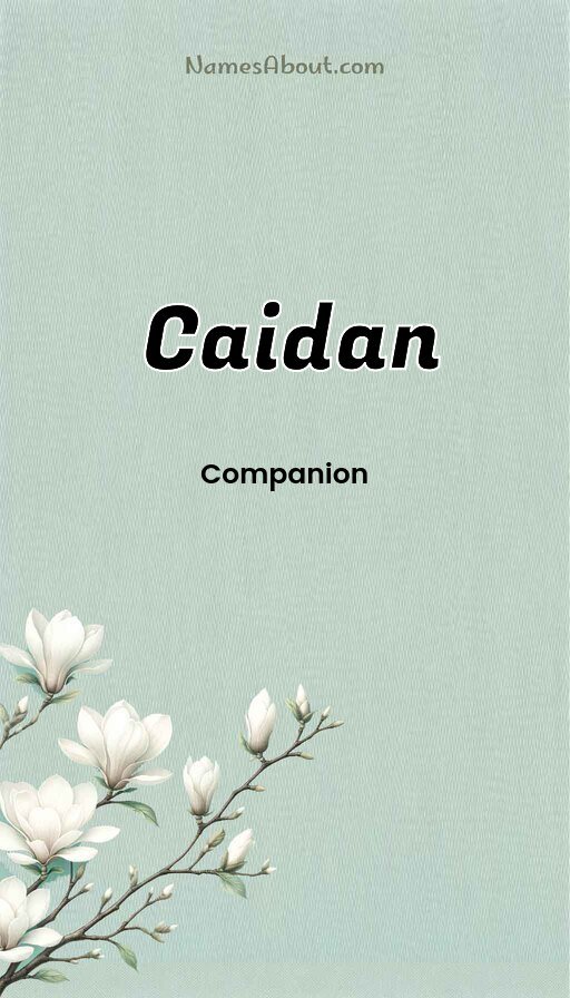Meaning of Caidan