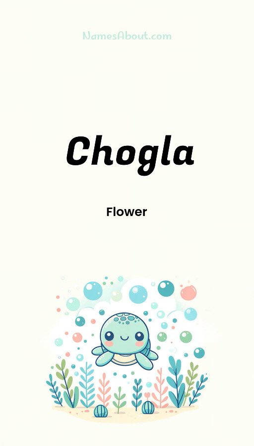 Meaning of Chogla