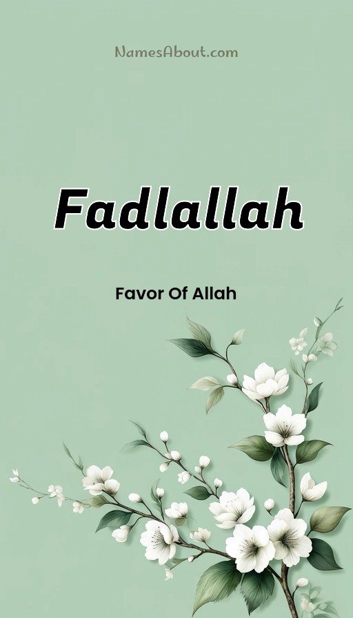 Meaning of Fadlallah