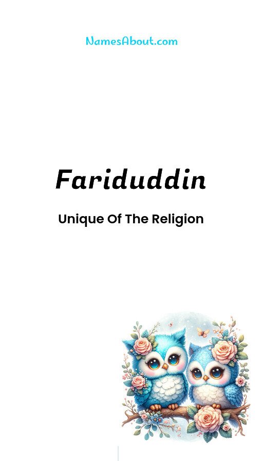 Meaning of Fariduddin 