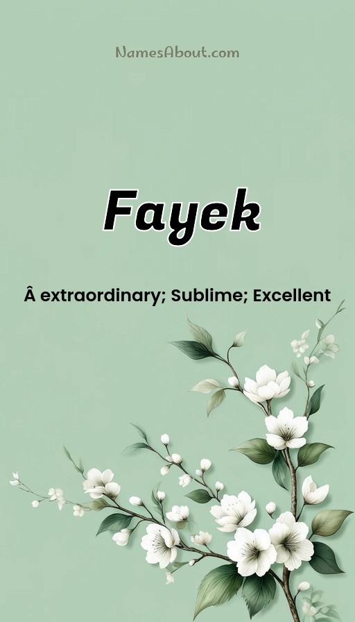 Illustration of Fayek