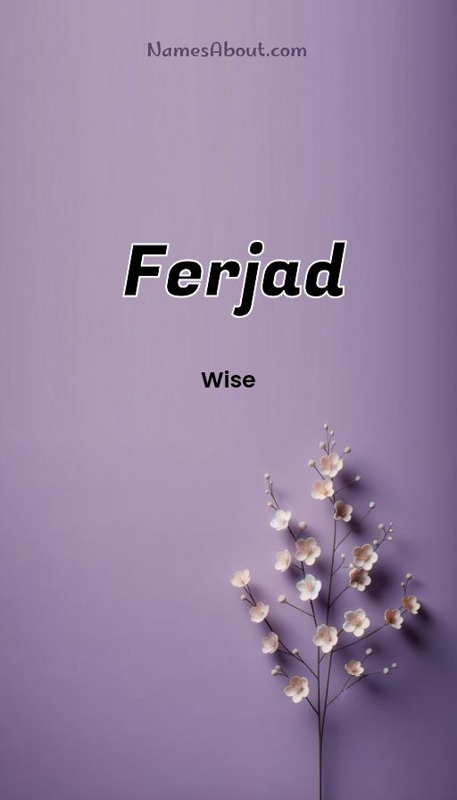 Illustration of Ferjad