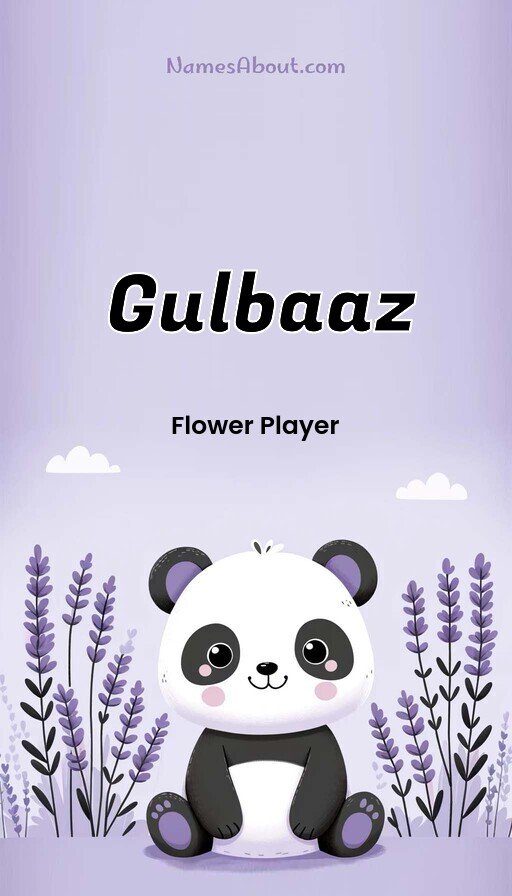 Meaning of Gulbaaz