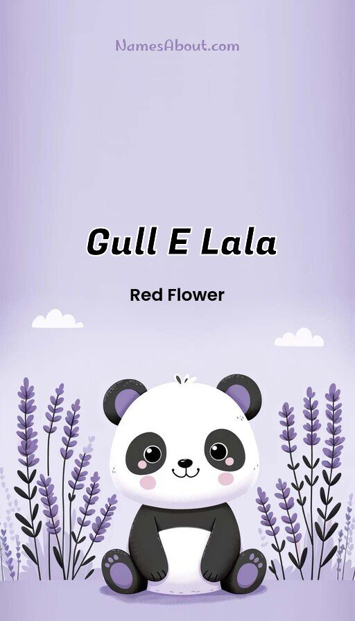Meaning of Gull e lala
