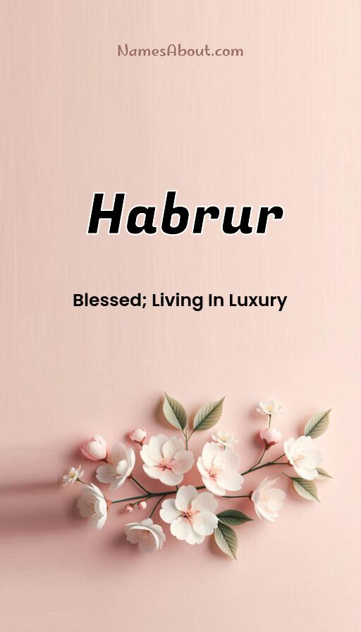 Meaning of Habrur