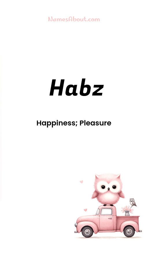 Meaning of Habz