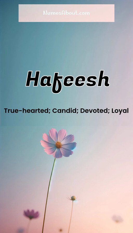 Meaning of Hafeesh