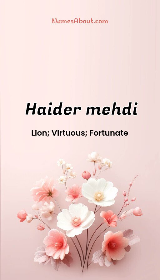 Meaning of Haider mehdi