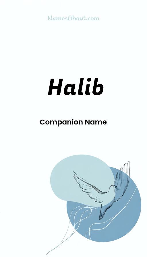 Illustration of Halib