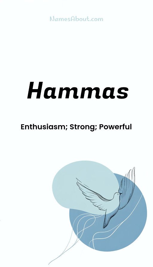 Meaning of Hammas