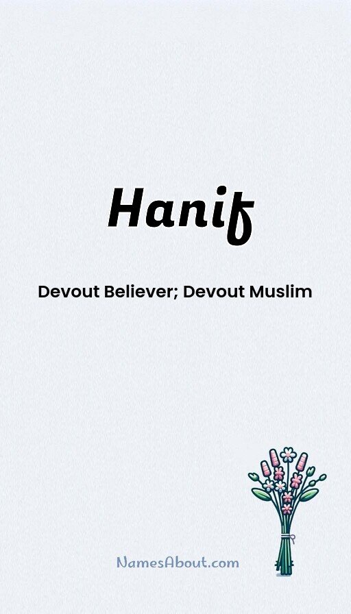 Meaning of Hanif