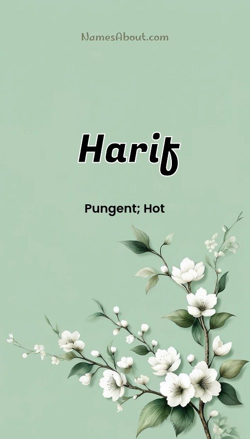 Meaning of Harif