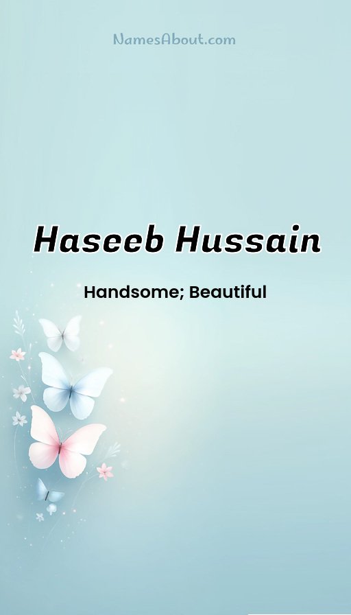 Meaning of Haseeb Hussain