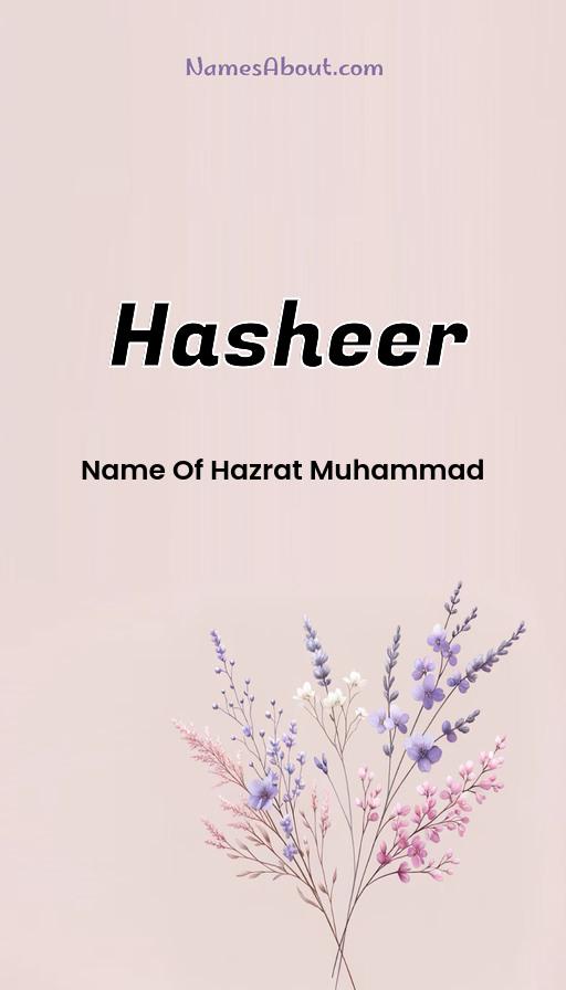 Illustration of Hasheer