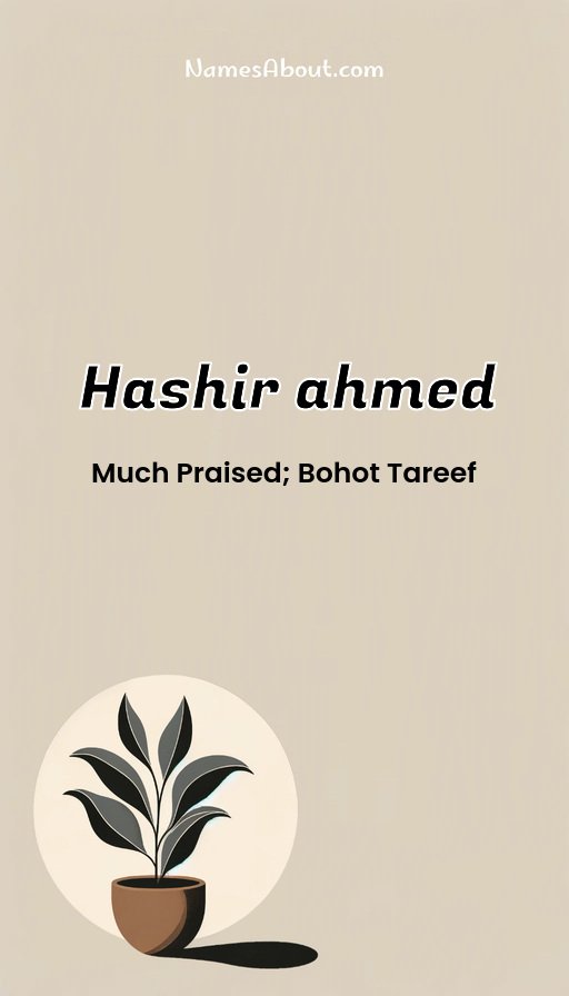 Meaning of Hashir ahmed