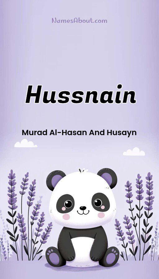 Meaning of Hussnain