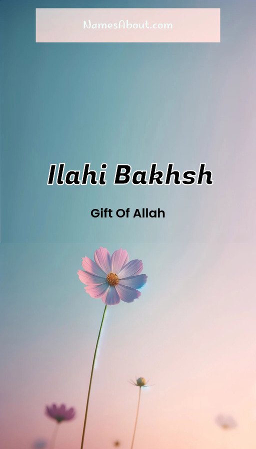 Meaning of Ilahi Bakhsh