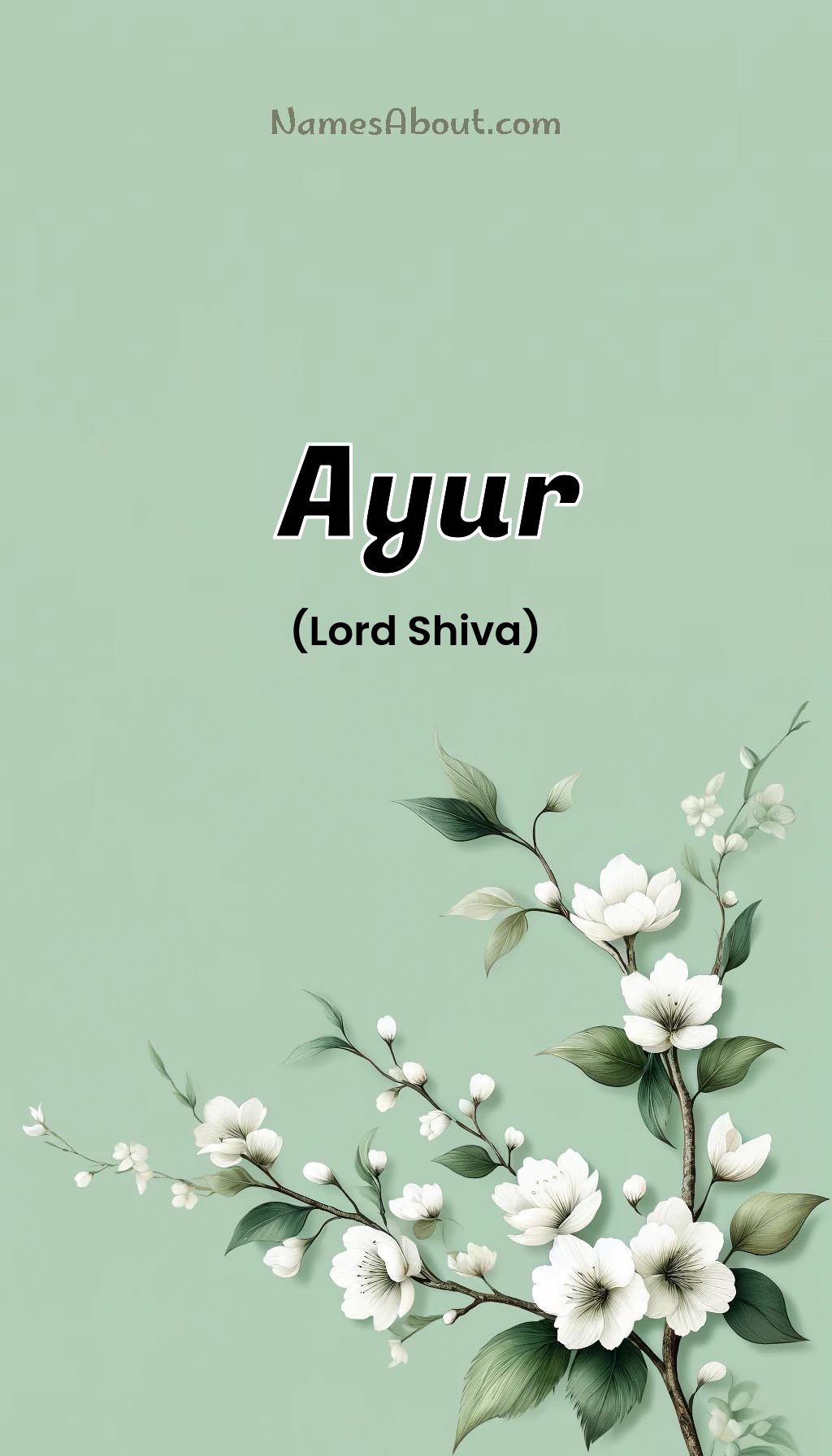 Ayur name and meaning