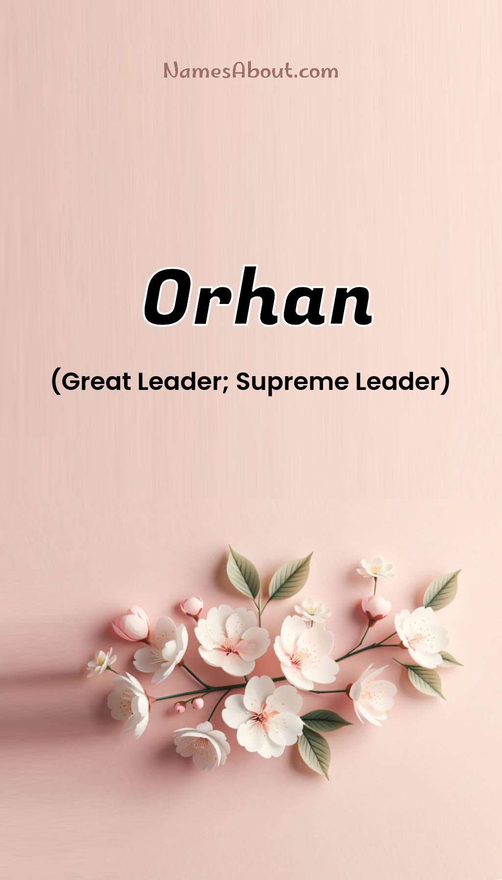 Orhan name and meaning