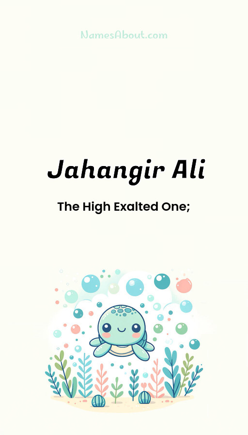 Meaning of Jahangir ali