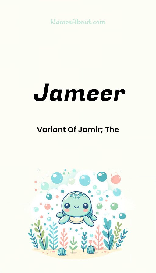 Meaning of Jameer