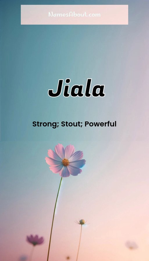 Meaning of Jiala