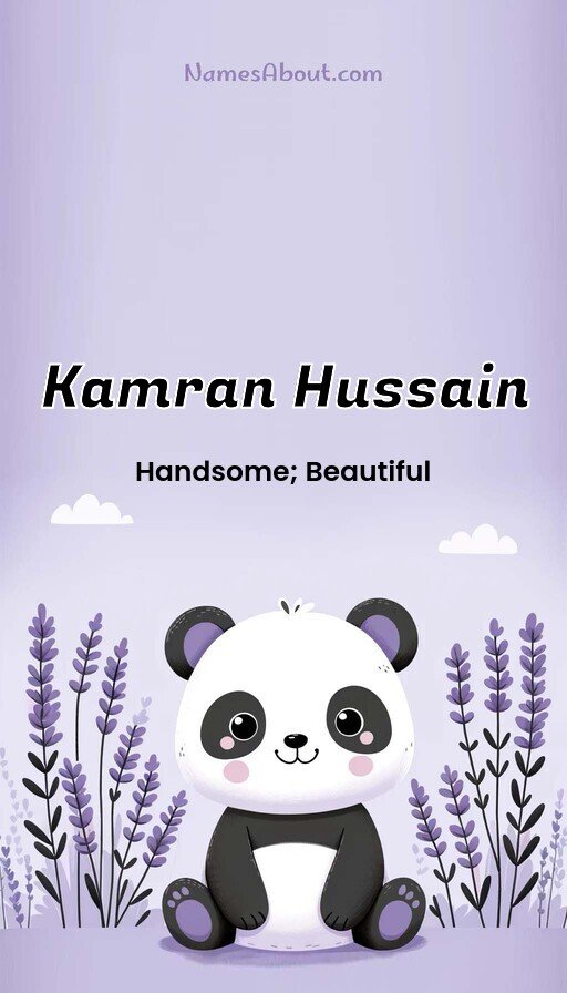 Meaning of Kamran hussain