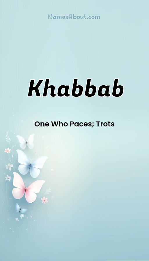 Meaning of Khabbab