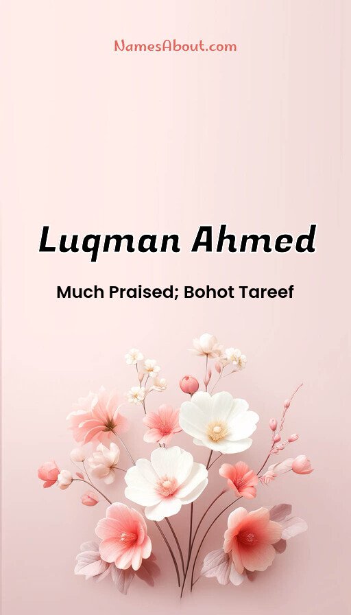 Meaning of Luqman ahmed