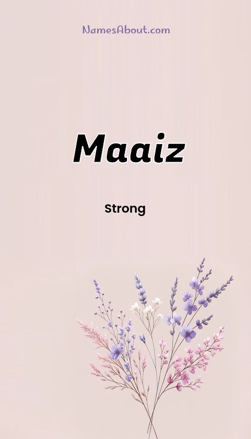 Meaning of Maaiz