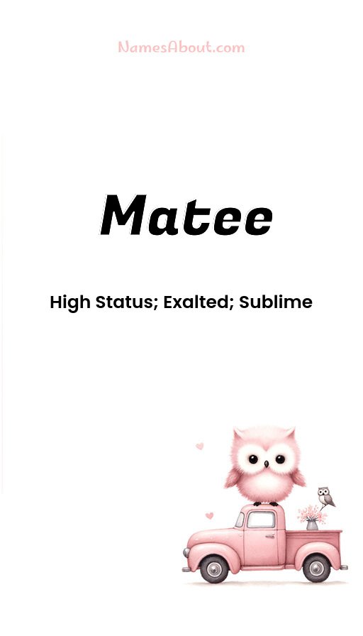 Meaning of Matee