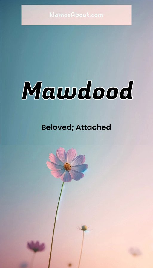 Meaning of Mawdood