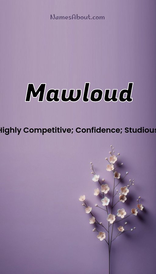 Meaning of Mawloud